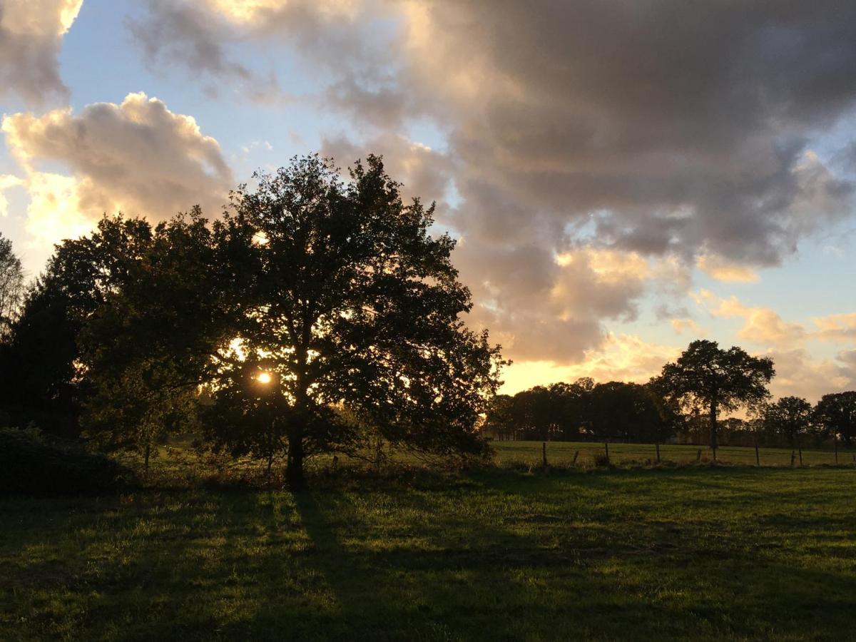 Vakantiewoning Pelterheggen Grote Heide Экстерьер фото